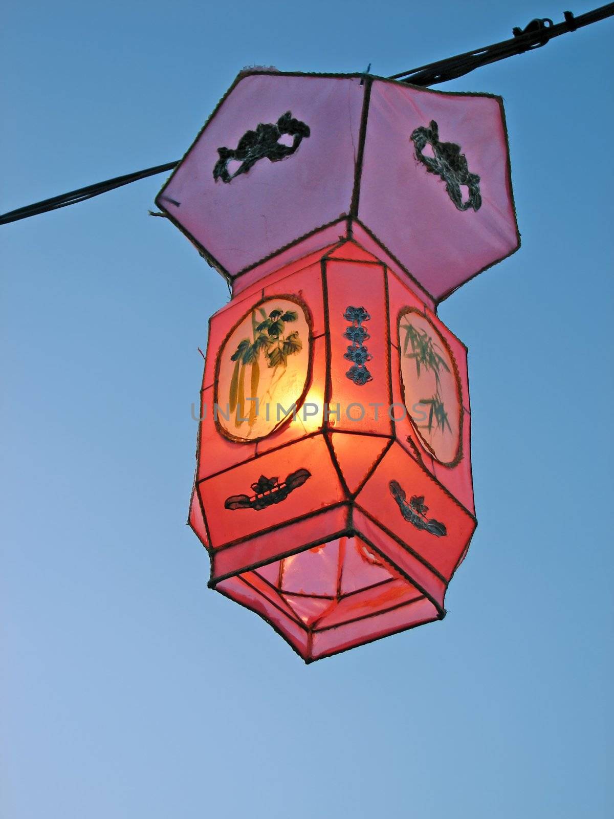 Cozy light of a pink Chinese lantern by anikasalsera