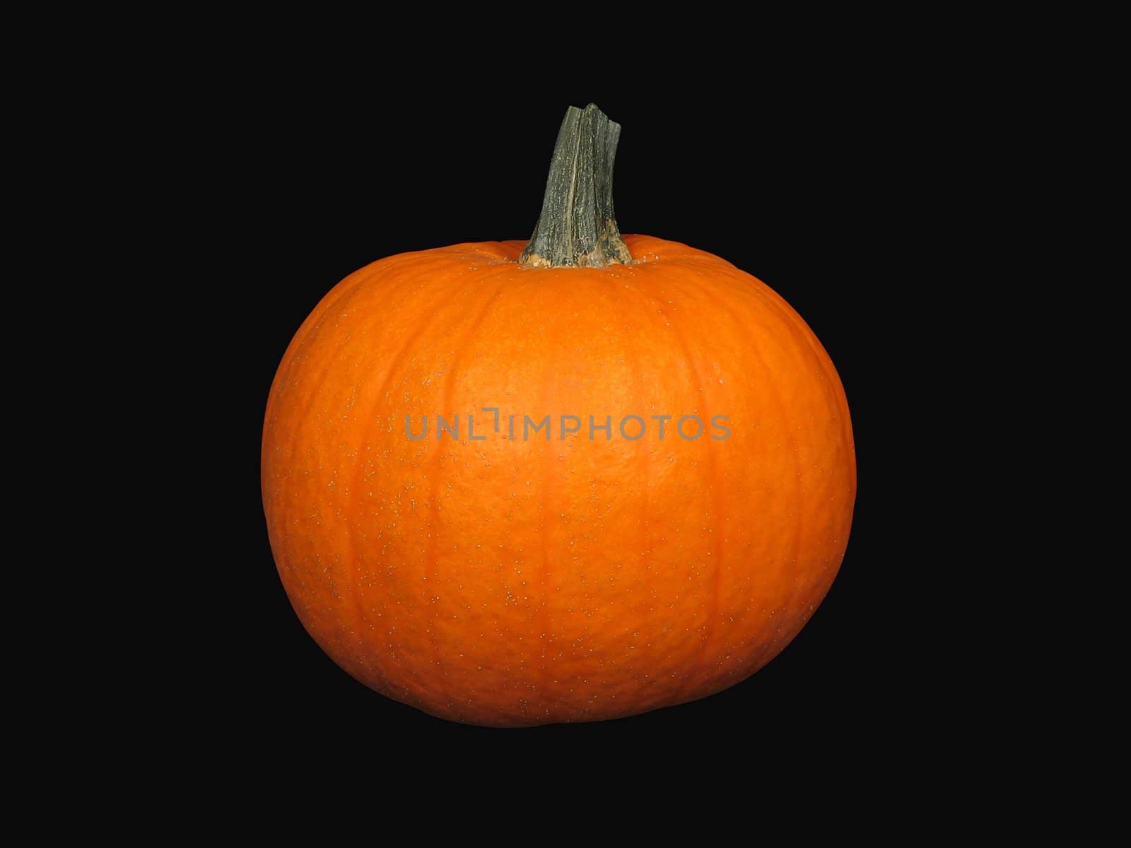 Pumpkin isolated on black. Contains clipping path.
