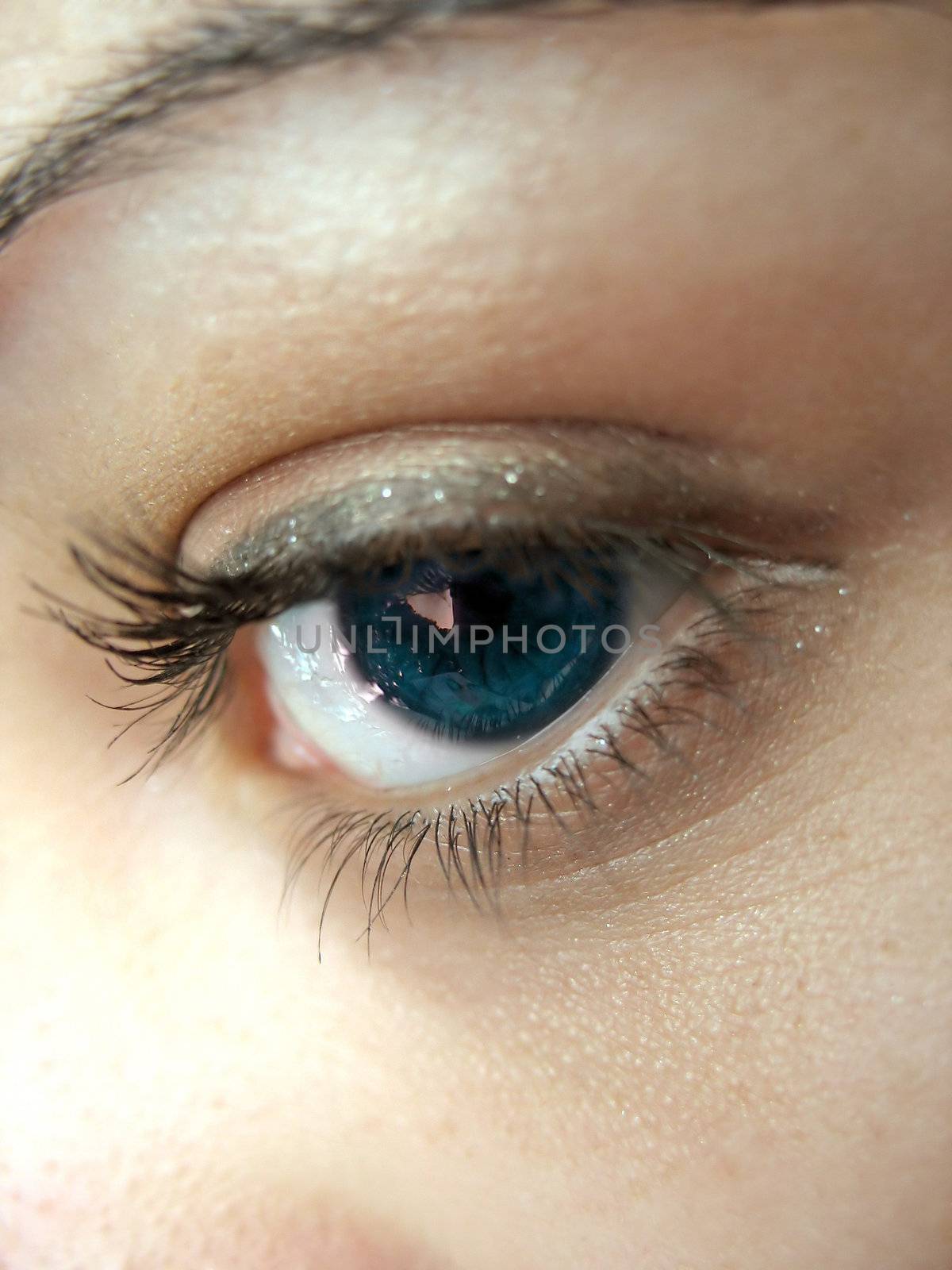 A macro shot of a pretty woman's blue eye and lashes - shallow depth of field.
