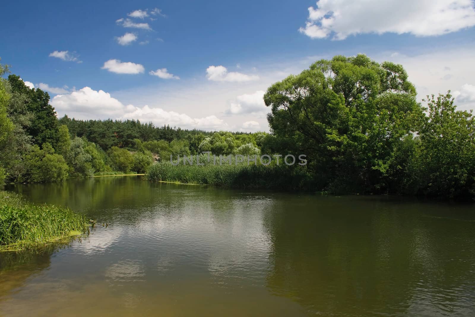 Summer scenery with river