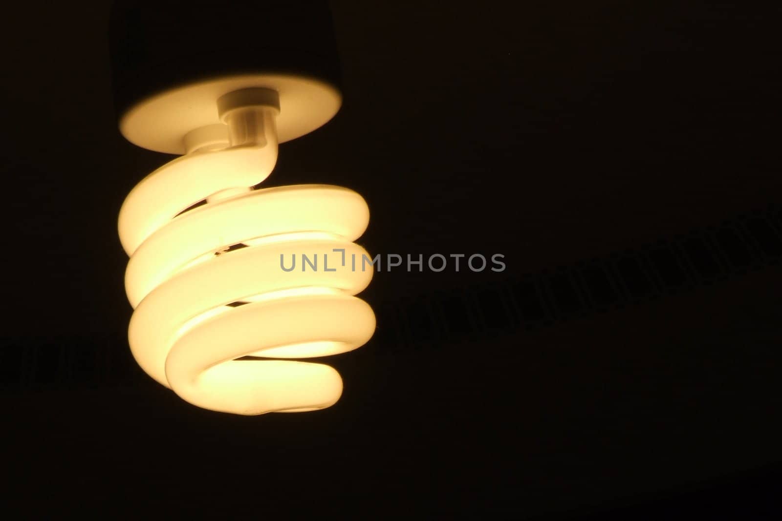 Ecological light bulb isolated on black