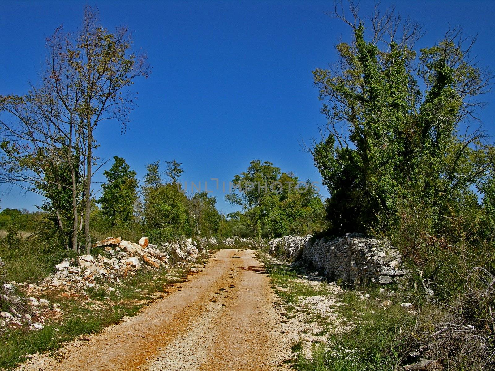 the coast of Istra