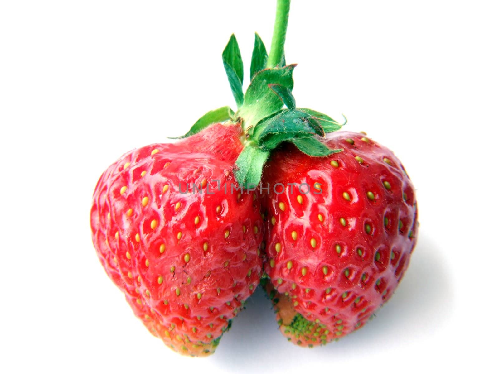 strawberry that looks like lungs isolated on white background