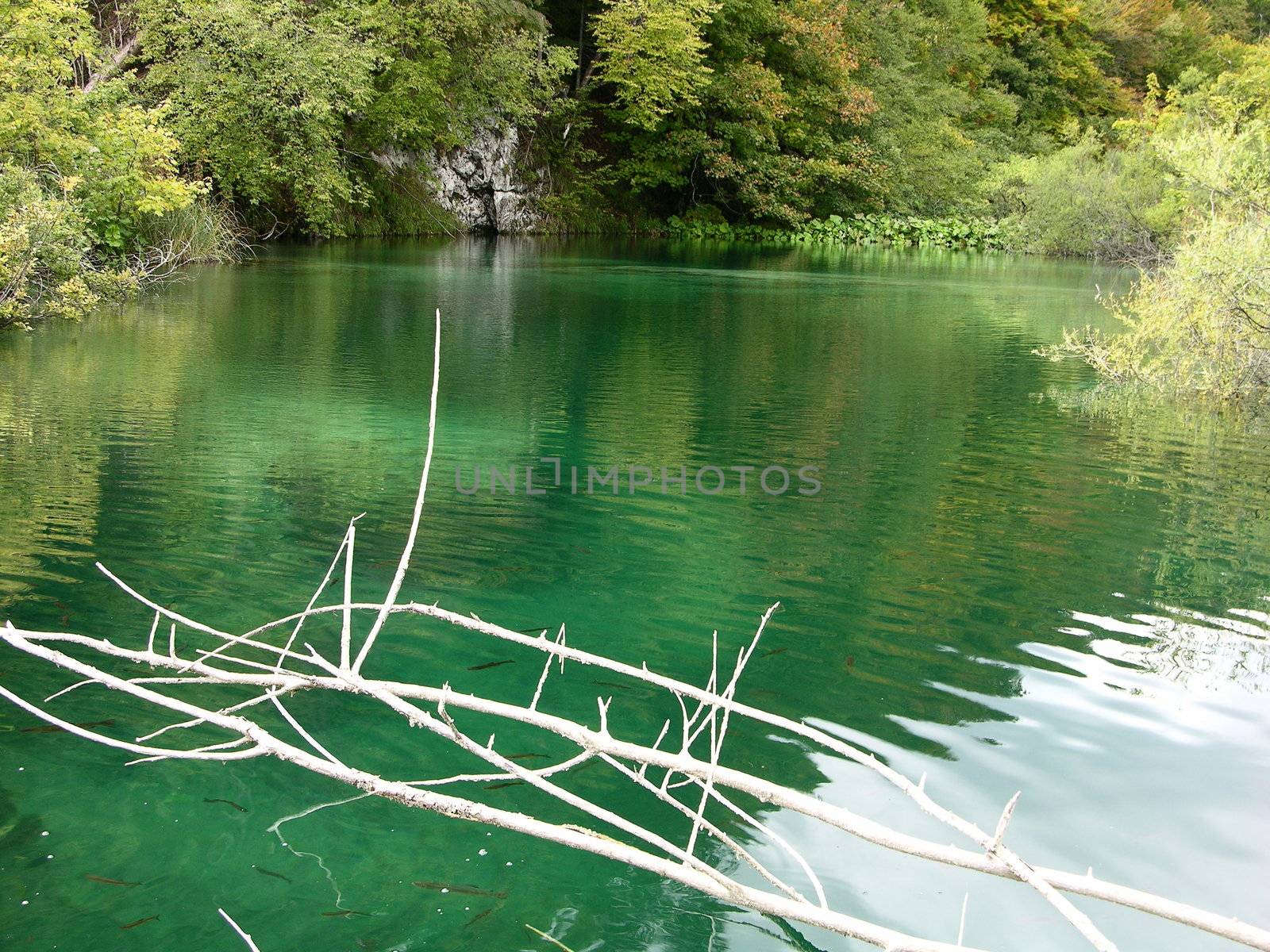 view of spring in "Plitvice lakes" park