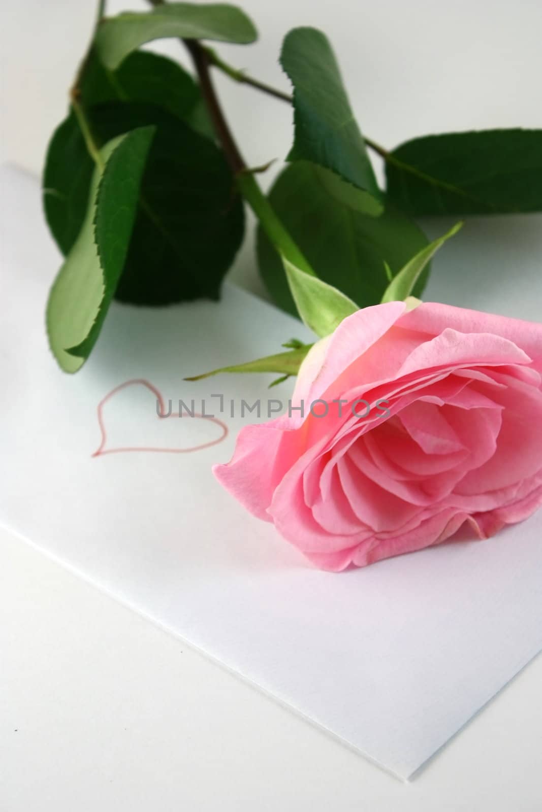 Love letter with a pink rose, selective focus on love theme