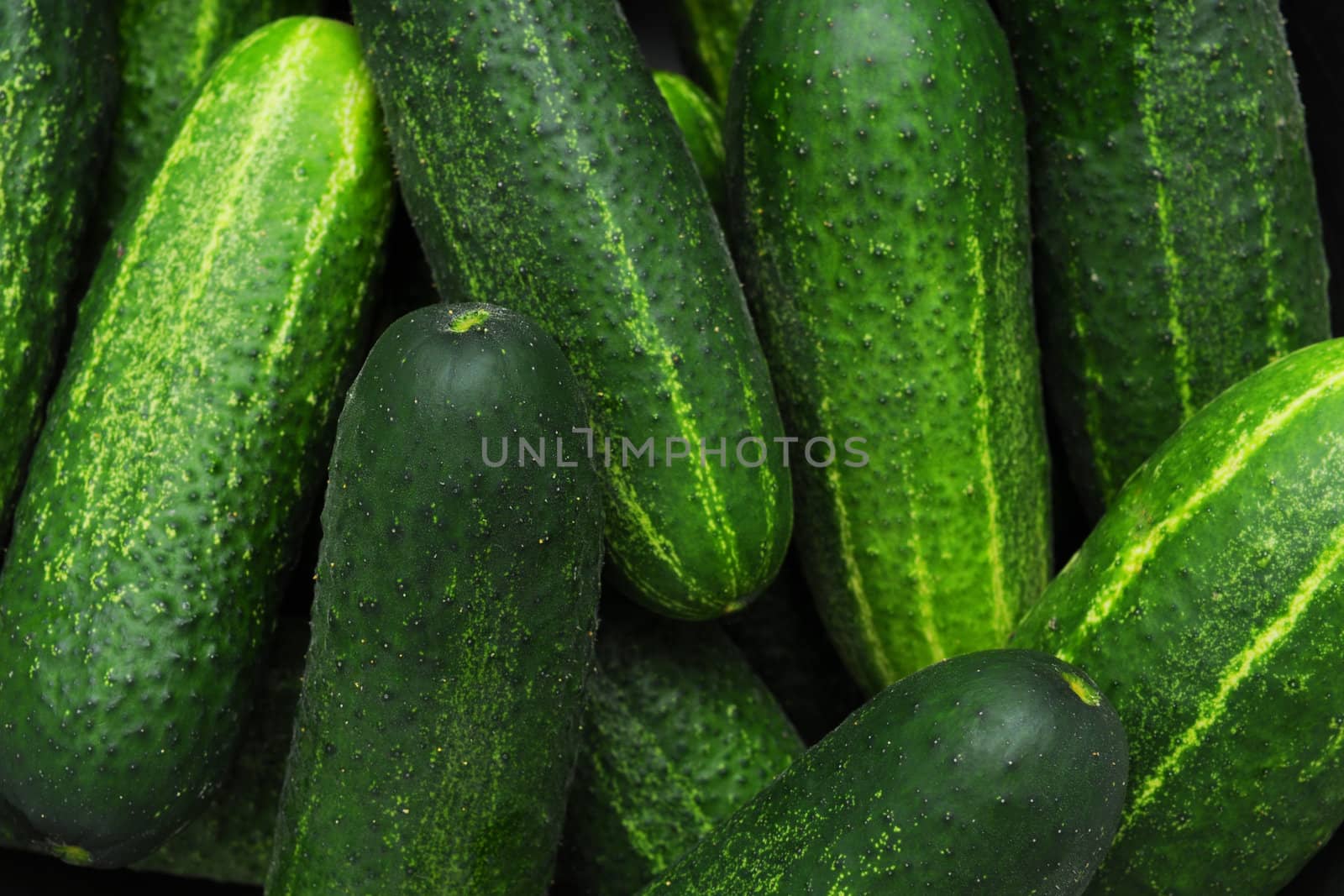 Cucumbers by Yaurinko