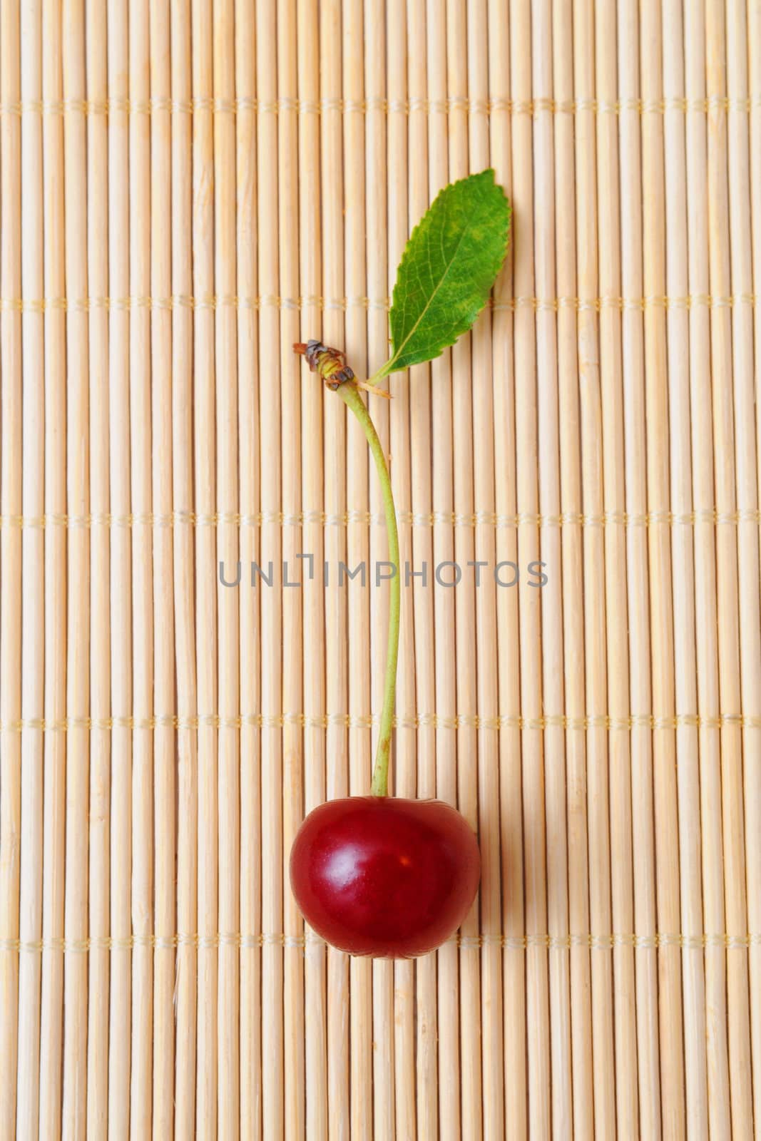 Cherry by Yaurinko