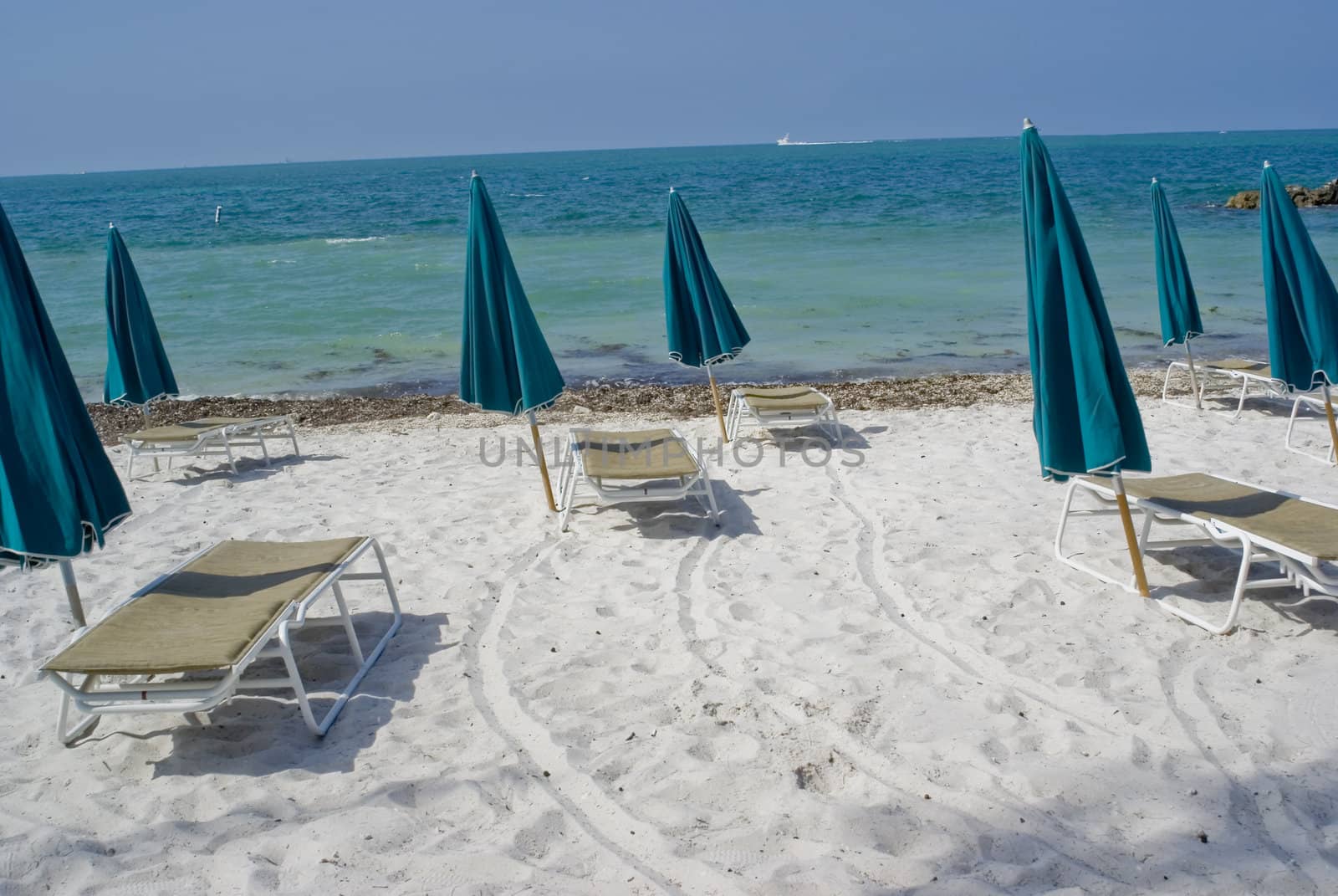 A set of beach umbrellas and recliners waiting for bodies.