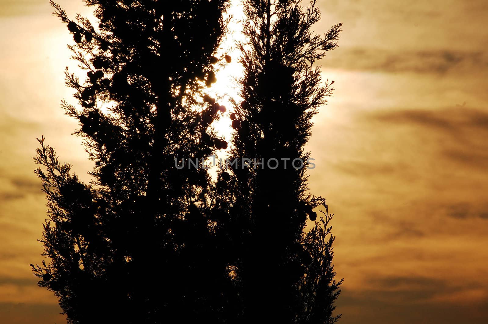 el sol traspasando la nubes by higiniochaves