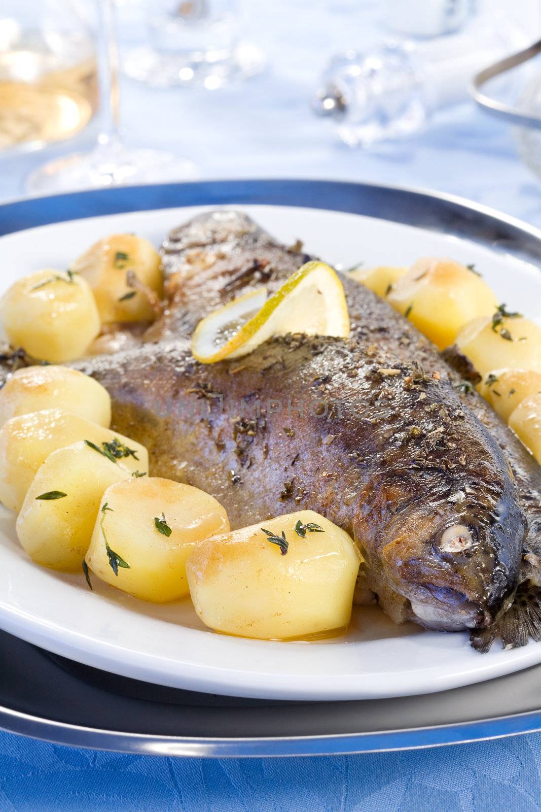 Baked trout by Gravicapa