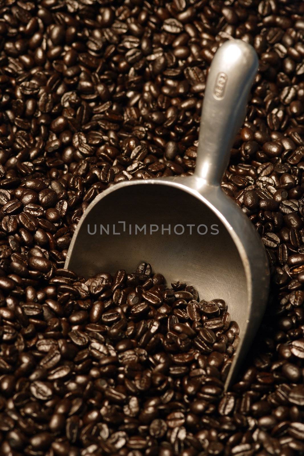 A scoop resting in a bag of freshly roasted coffee beans.  shallow depth of field - focus is across the middle of the image.

