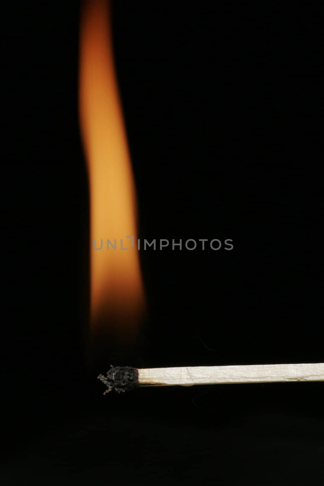 Burning Flame On A Single Matchstick On A Black Background