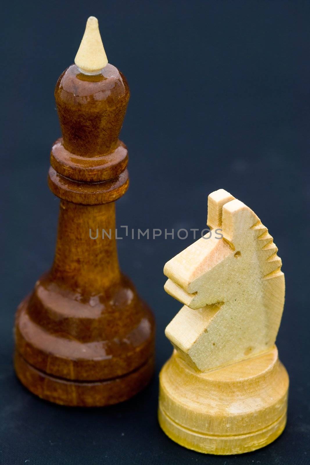 Chessmen. The king and knight on a black background.