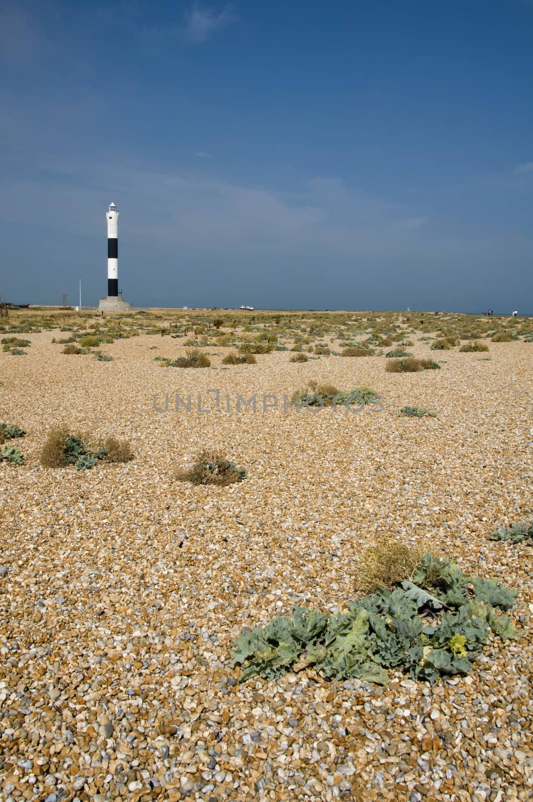 The pebble beach at Dungeness with the new lighthouse in the distance