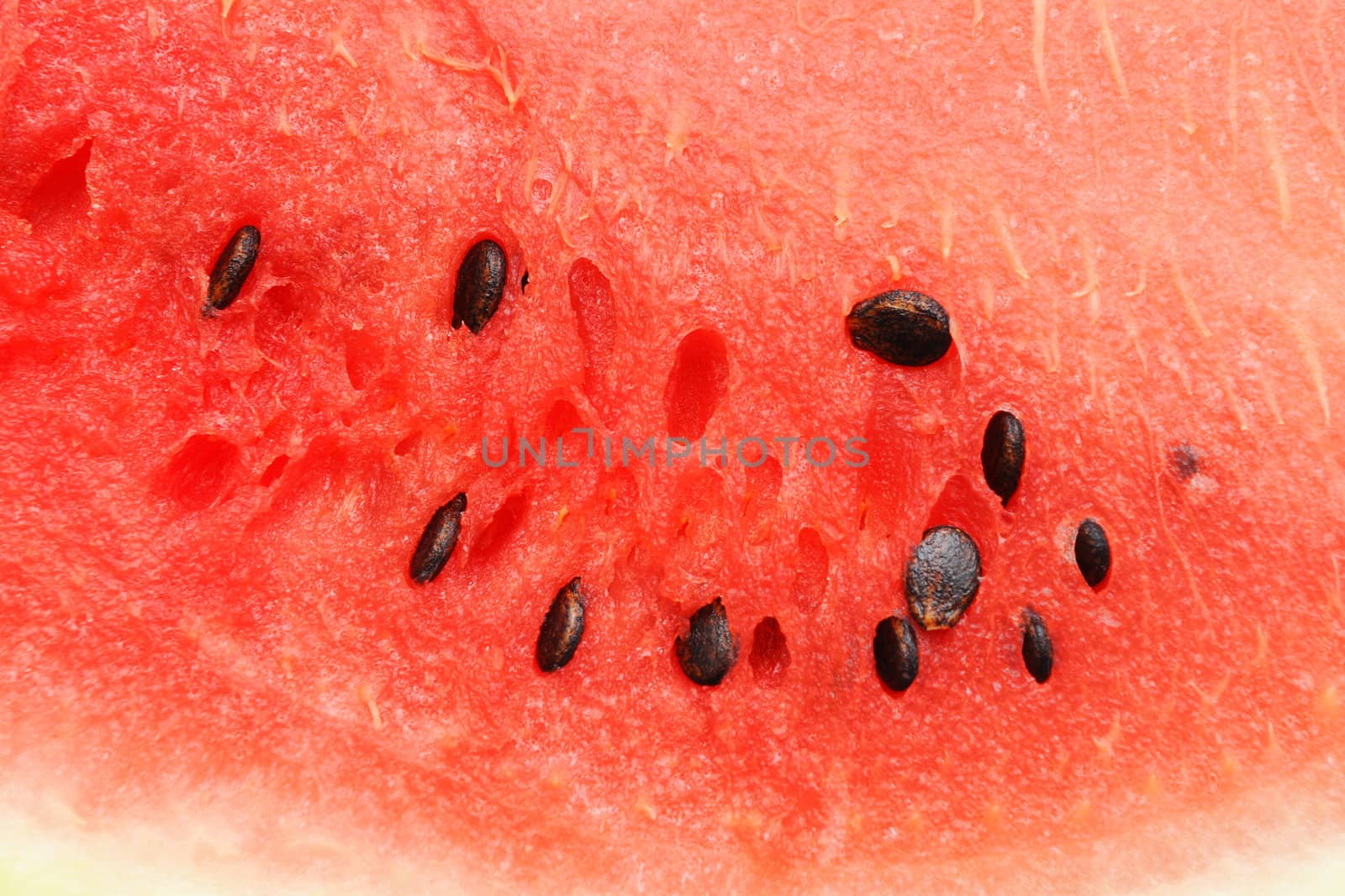 Watermelon by Yaurinko