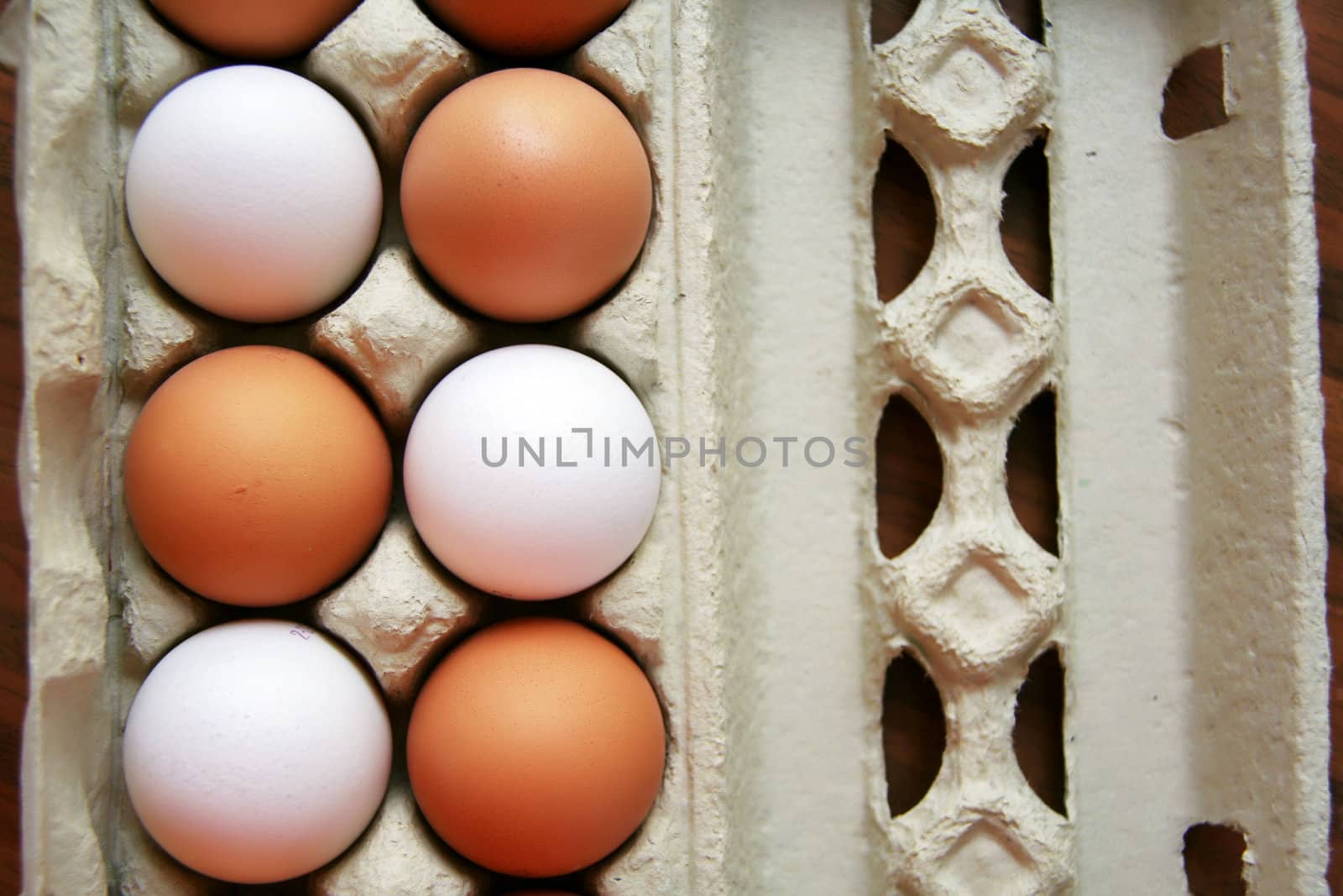 eggs by Hasenonkel