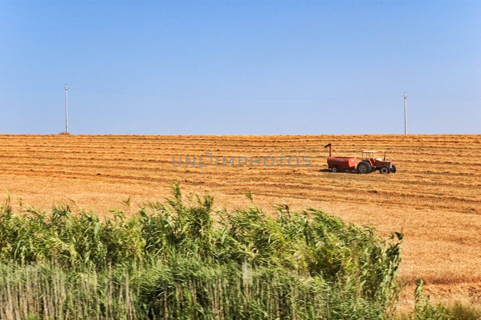 Tractor in field by sil