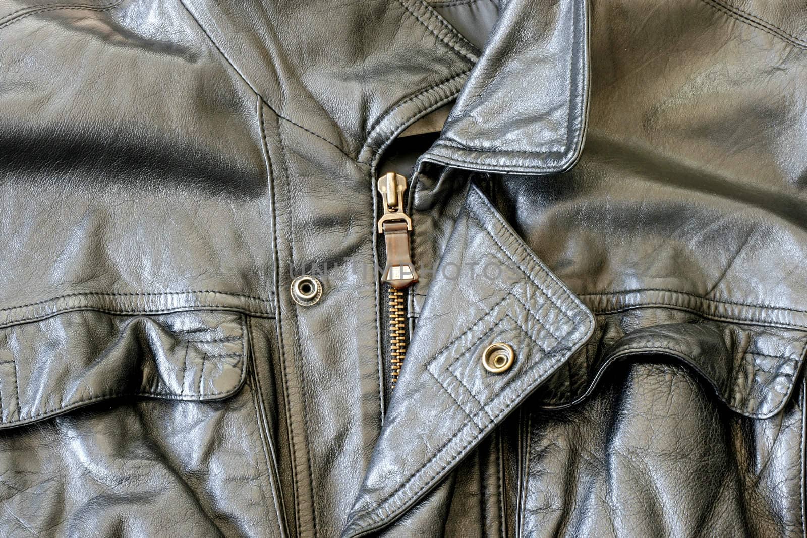 Detail of Leather Jacket with zipper and collar