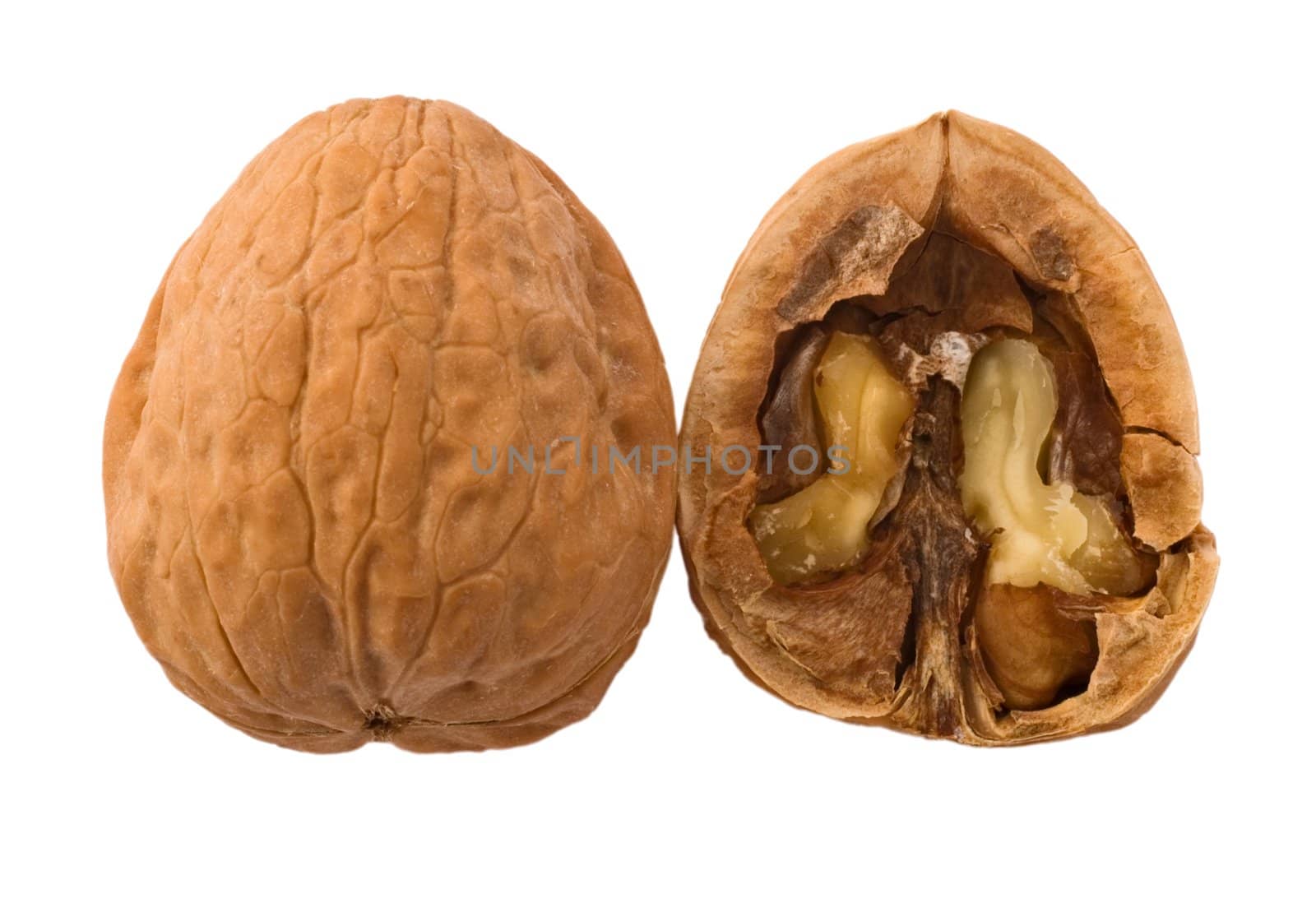 Open walnut isolated on white