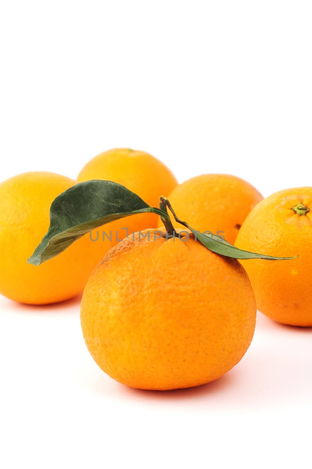 Oranges isolated on white with selective focus