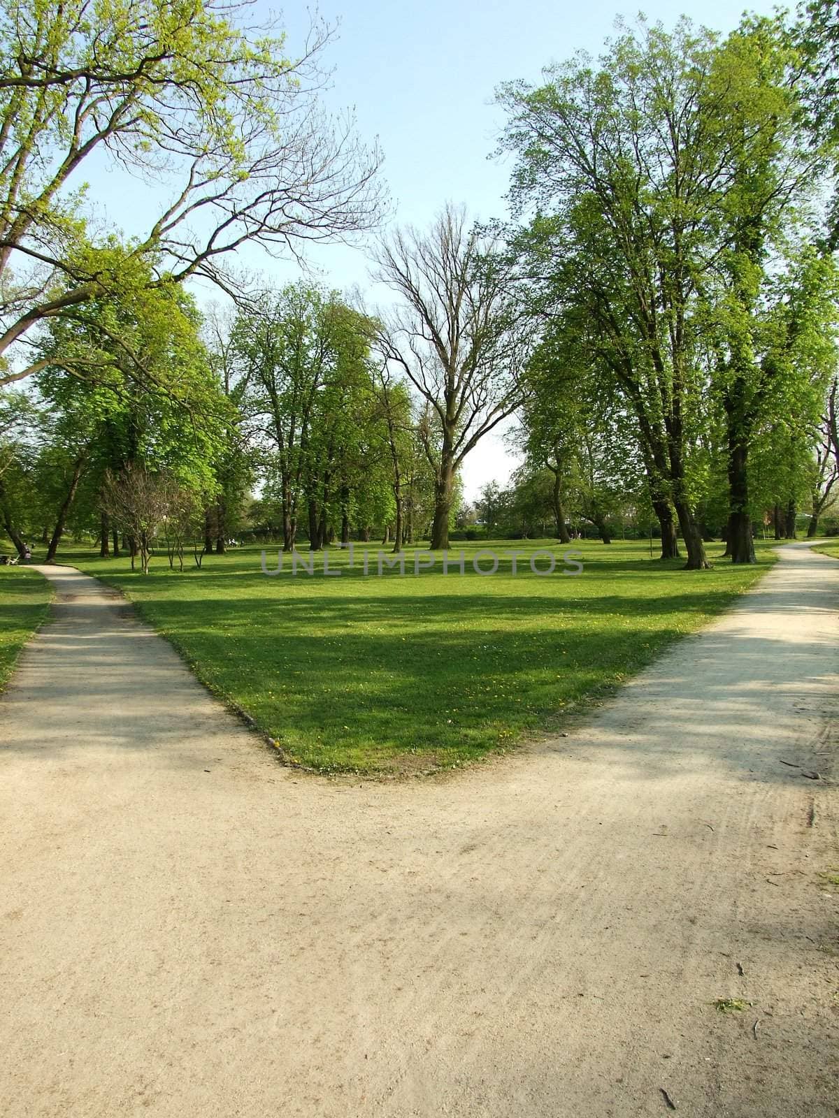 crossroad in the park
