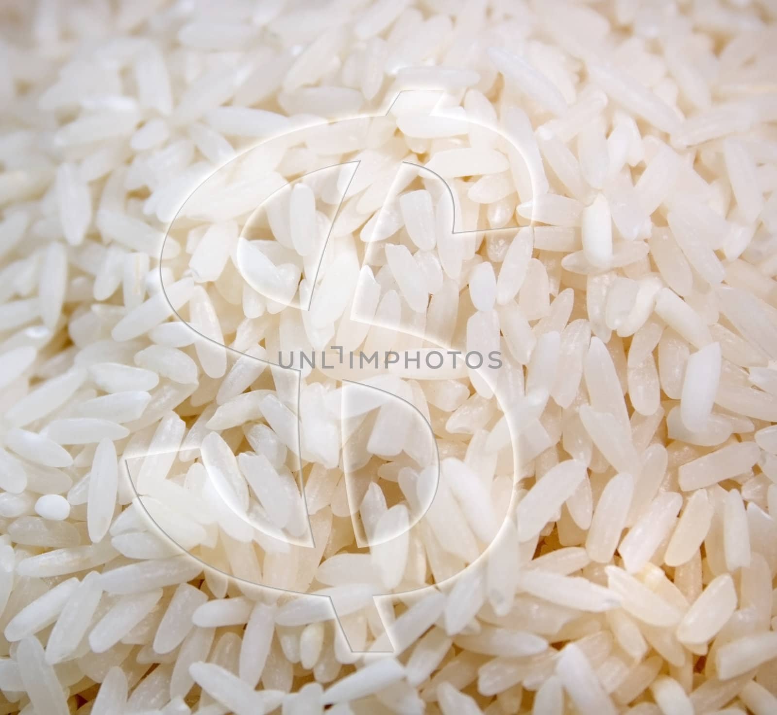 Rice with dollar sign over rice