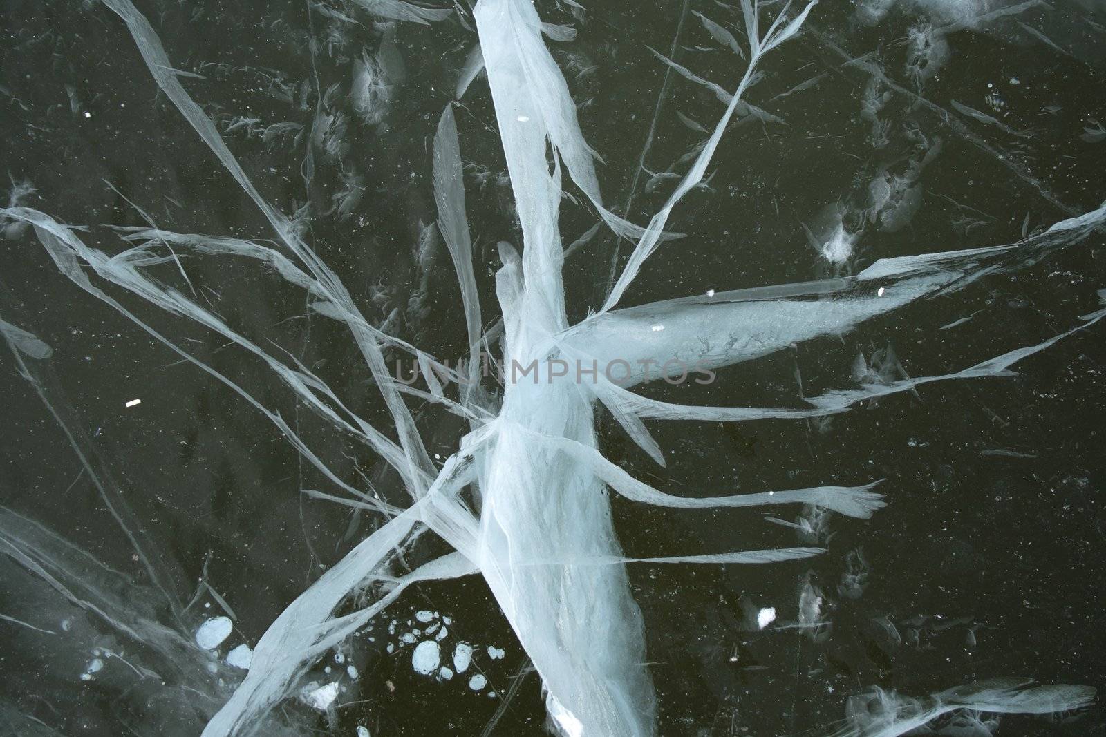 Frozen river: bizarre cracked ice, reminding an abstract white insect.