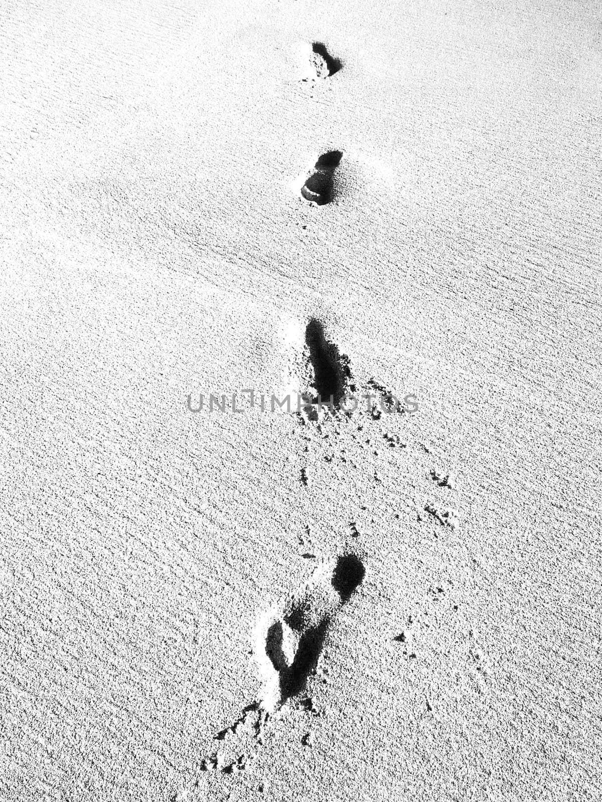 A row of footprints in some beach sand.