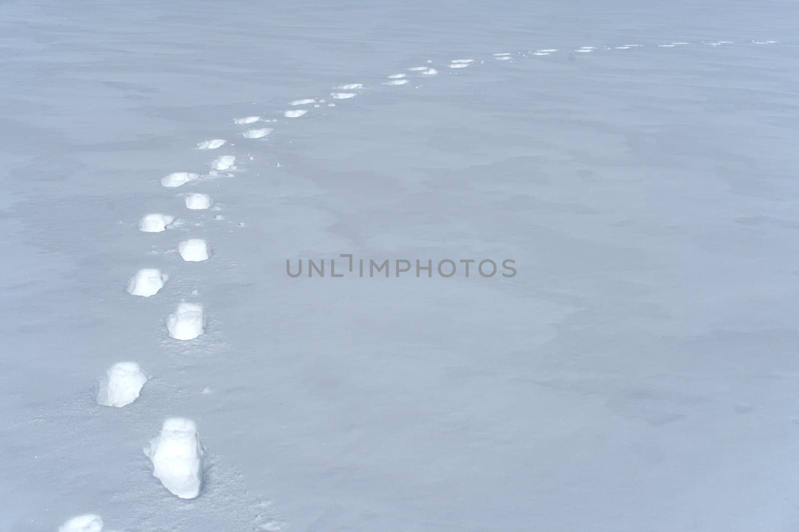 Footprints path crossing a snowy terrain.