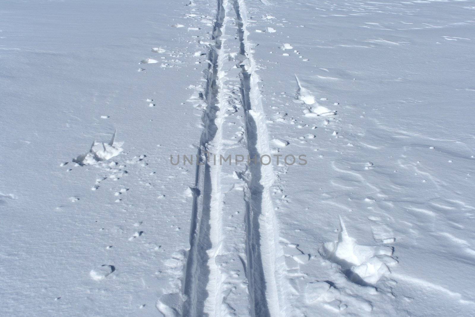 Ski track crossing a winter terrain by anikasalsera