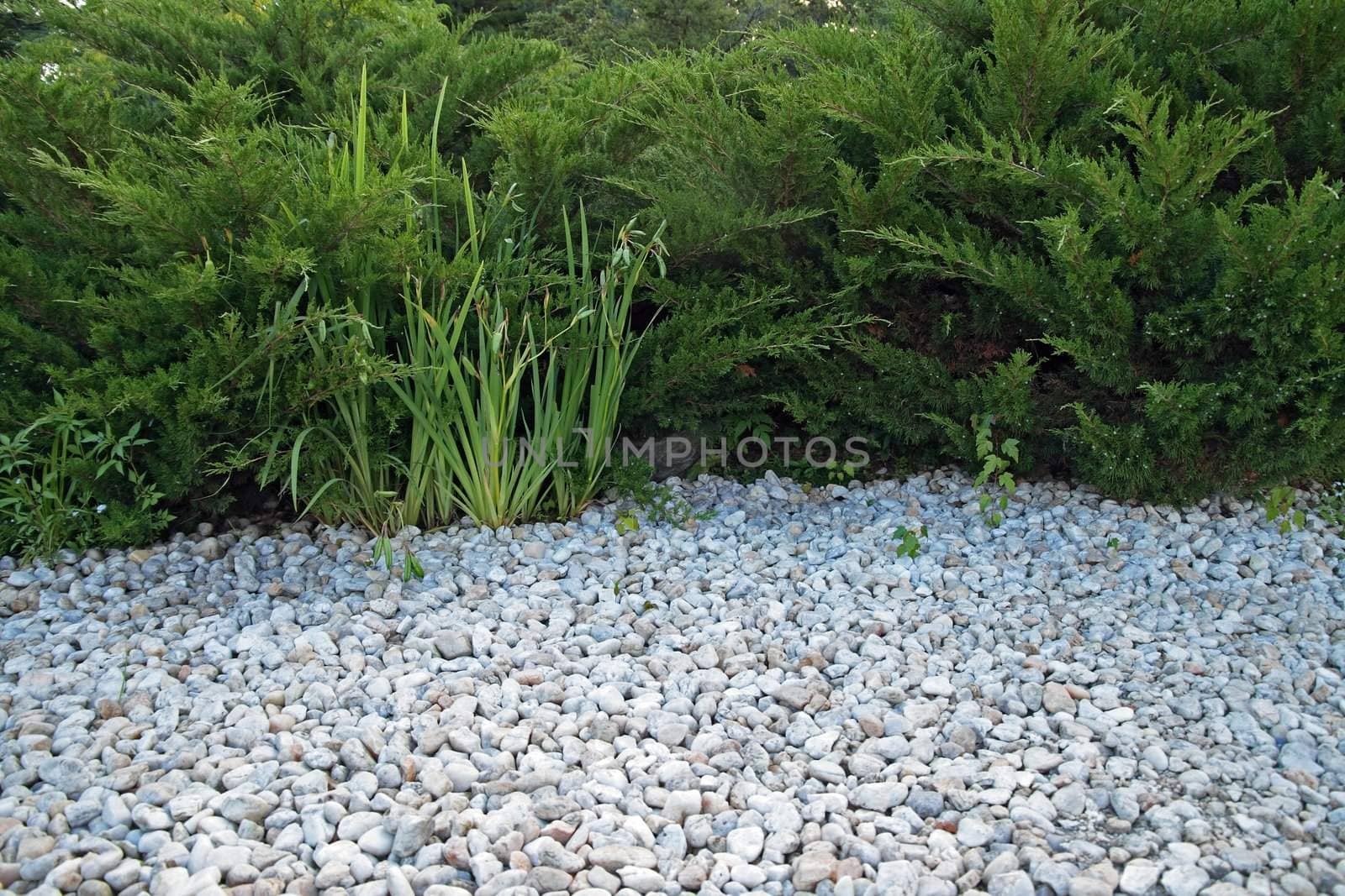 White pebble and green bushes in a botanical garden.