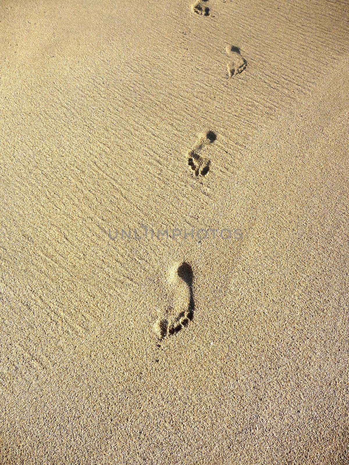 A row of footprints in some beach sand.