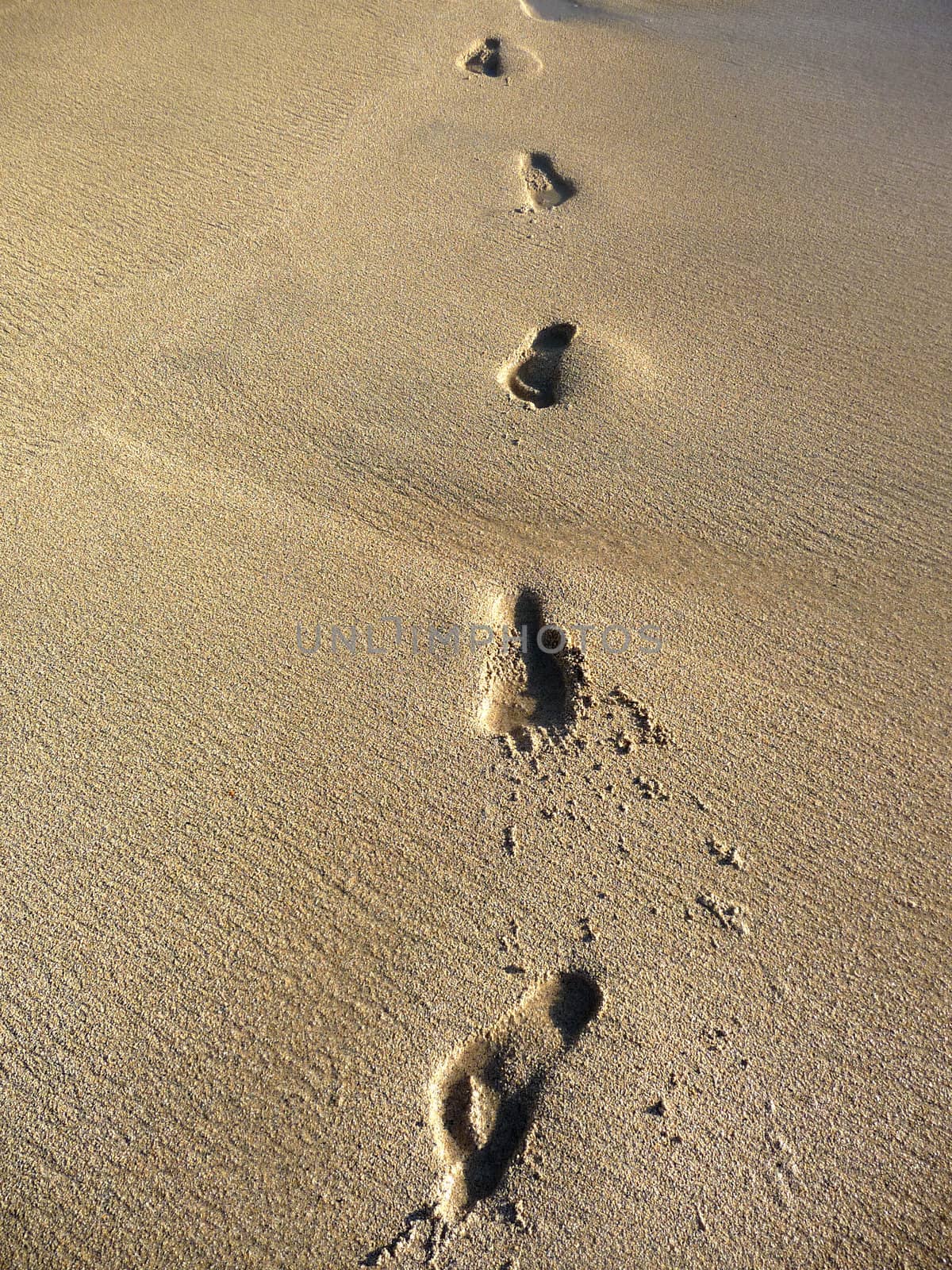 A row of footprints in some beach sand.