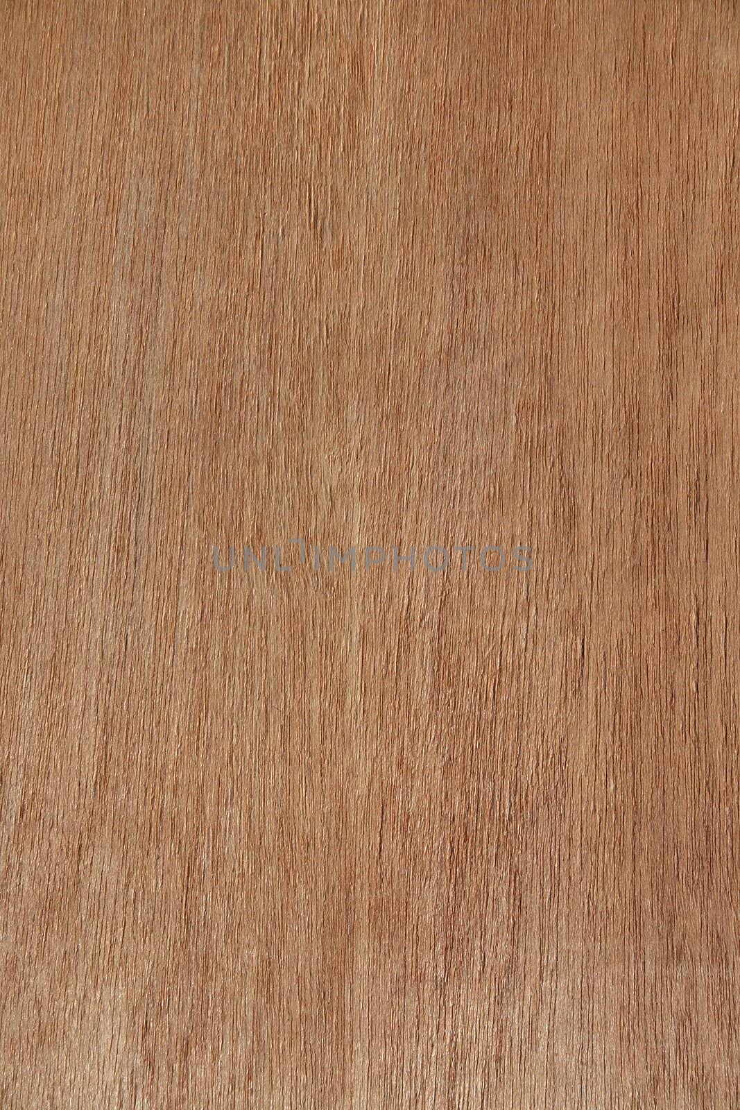 Wood texture. Wooden panel of natural color.