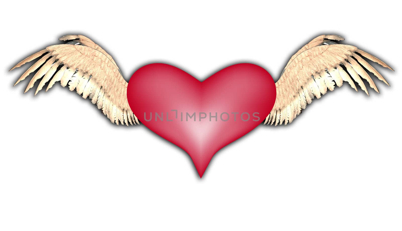   A flying heart for love and Valentines Day concepts.