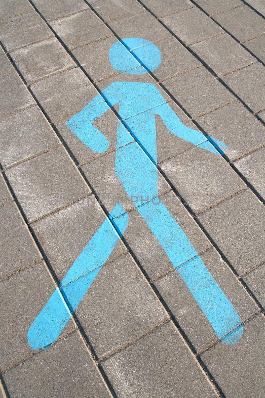 Walking area. Pedestrian sign painted on the pavement.