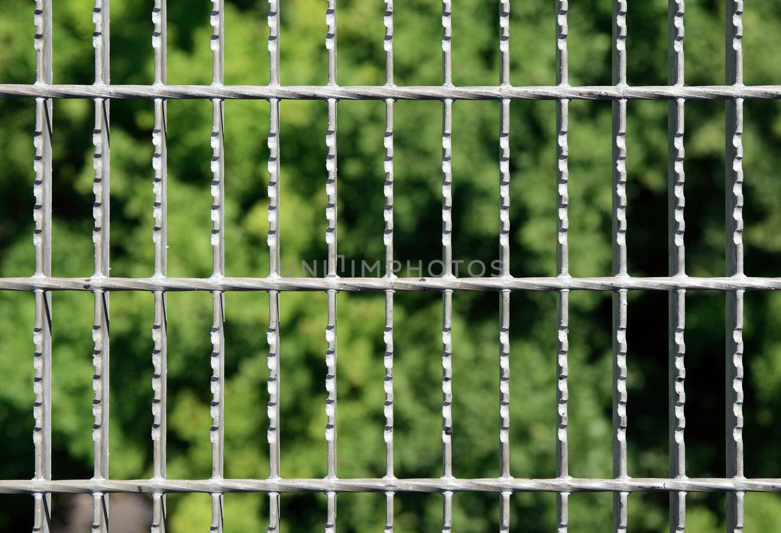 Metal grid with green blurry trees on the background.