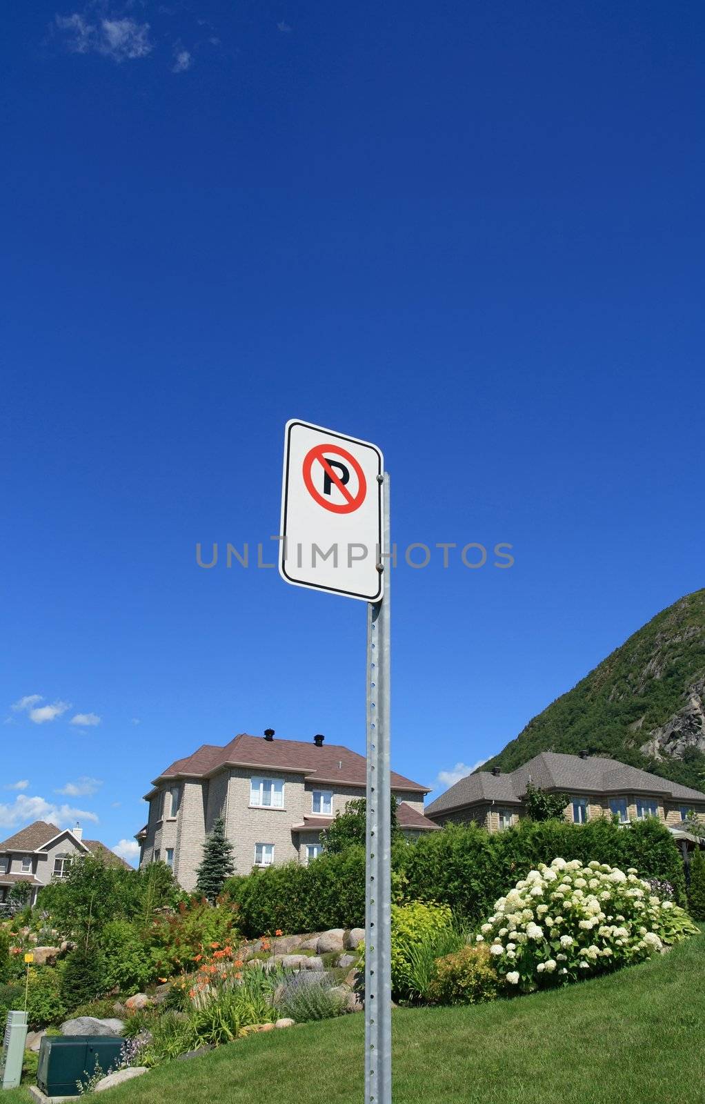 No parking sign in a prestigious suburban neighborhood near mountains.