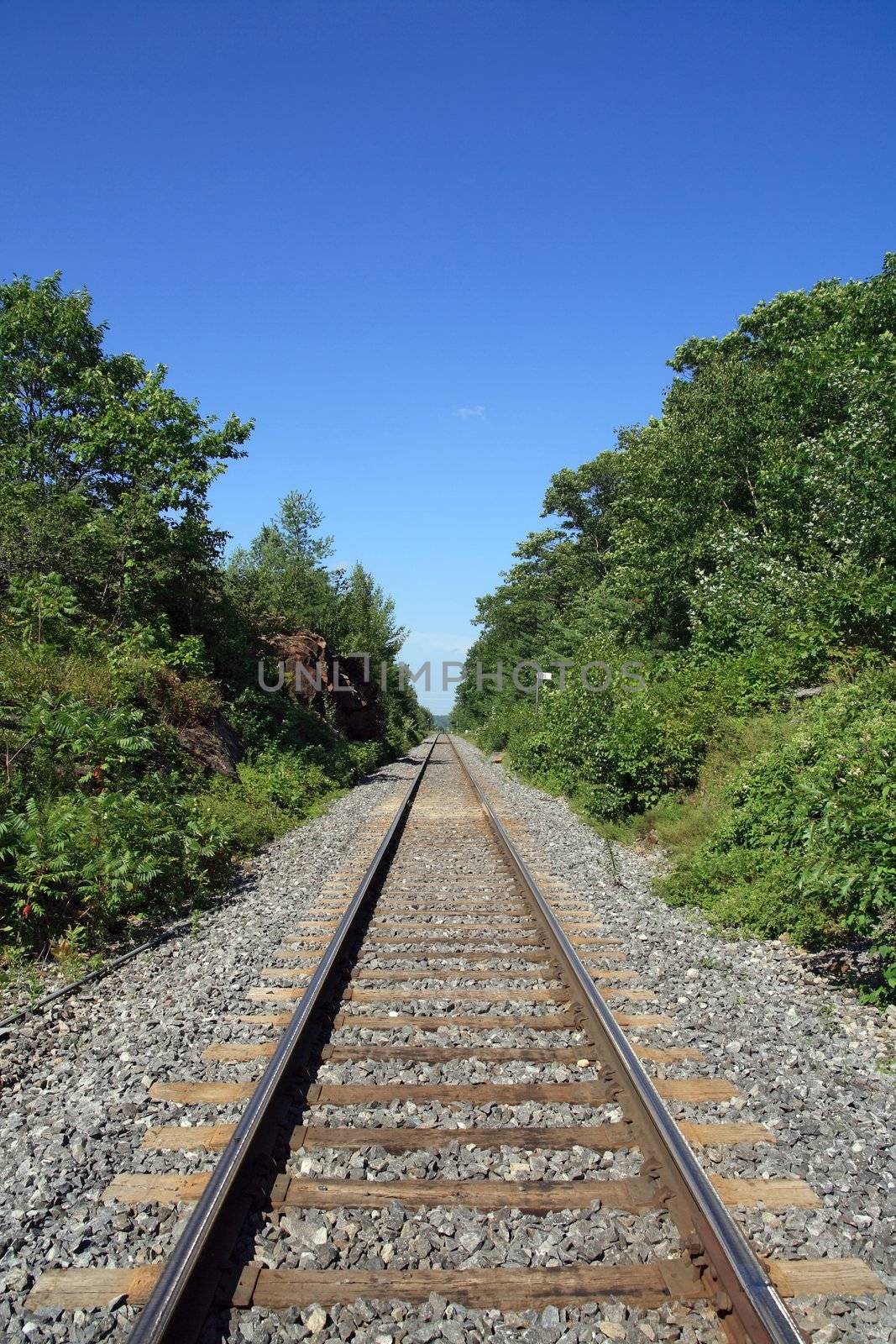 Railway track crossing the wood by anikasalsera