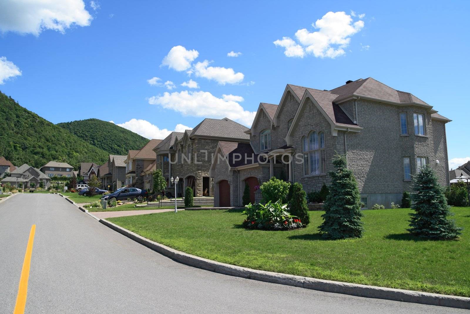Expensive houses in a prestigious suburban neighborhood near the mountain.