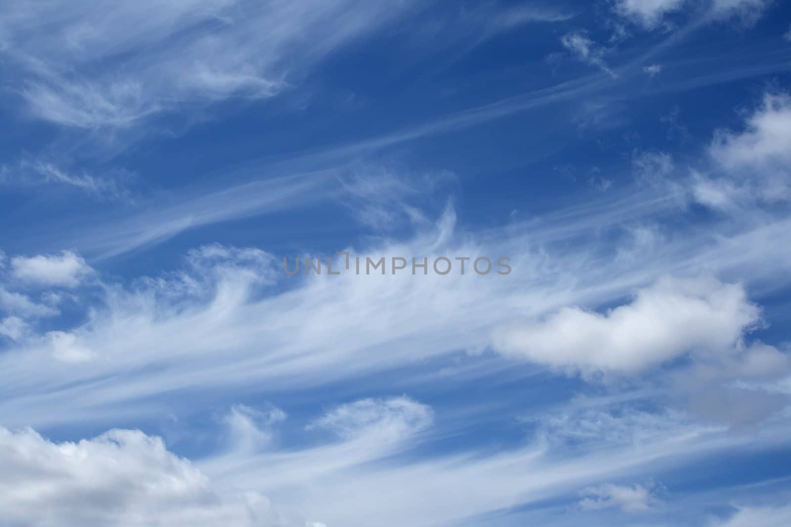 Curly white clouds in the blue sky by anikasalsera