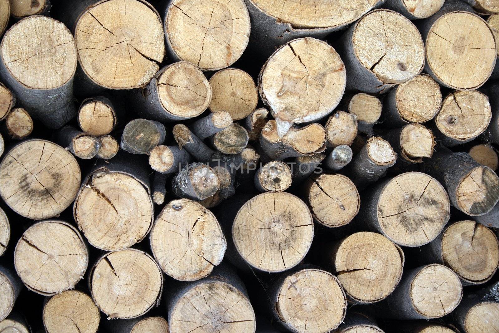 Pile of firewood by anikasalsera