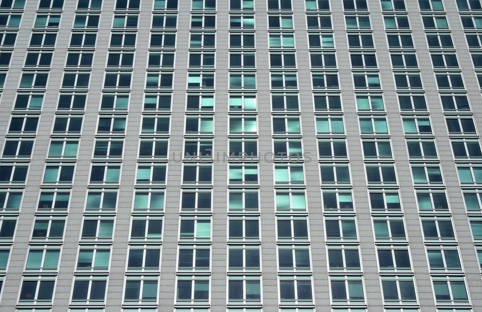 Office building. Rows of windows with green reflections.