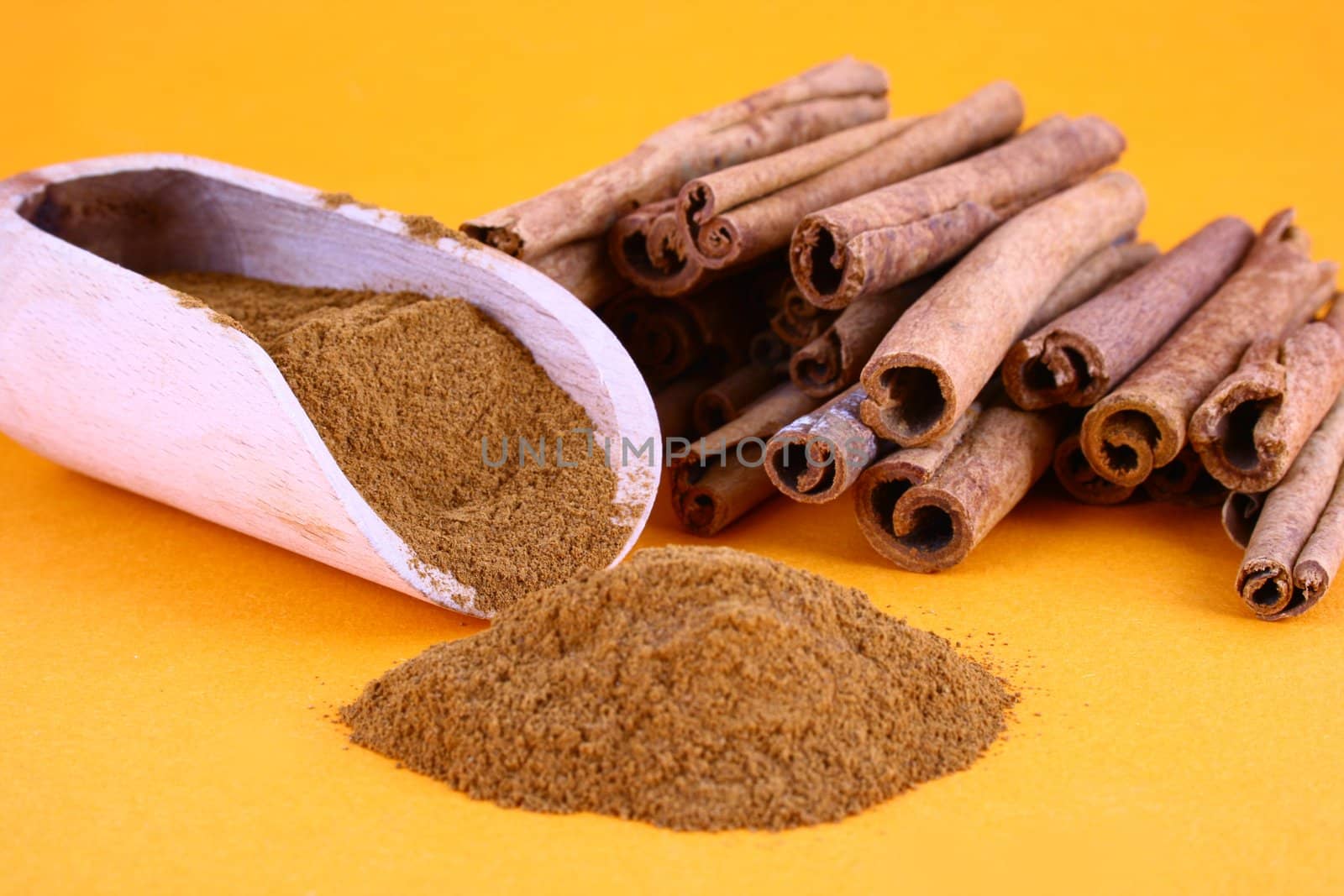 Sticks and powder of cinnamon reflected on the white background