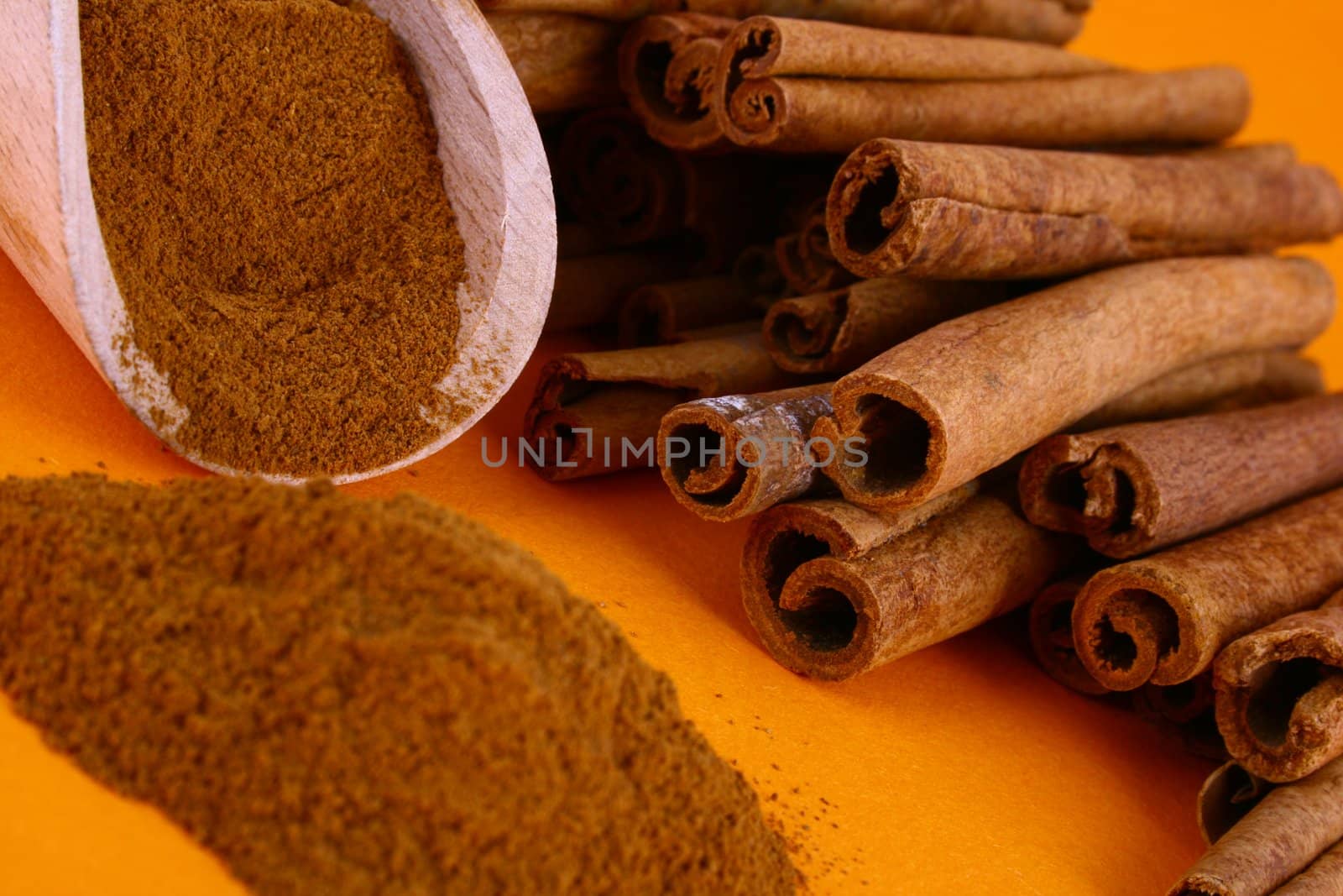 Sticks and powder of cinnamon reflected on the white background