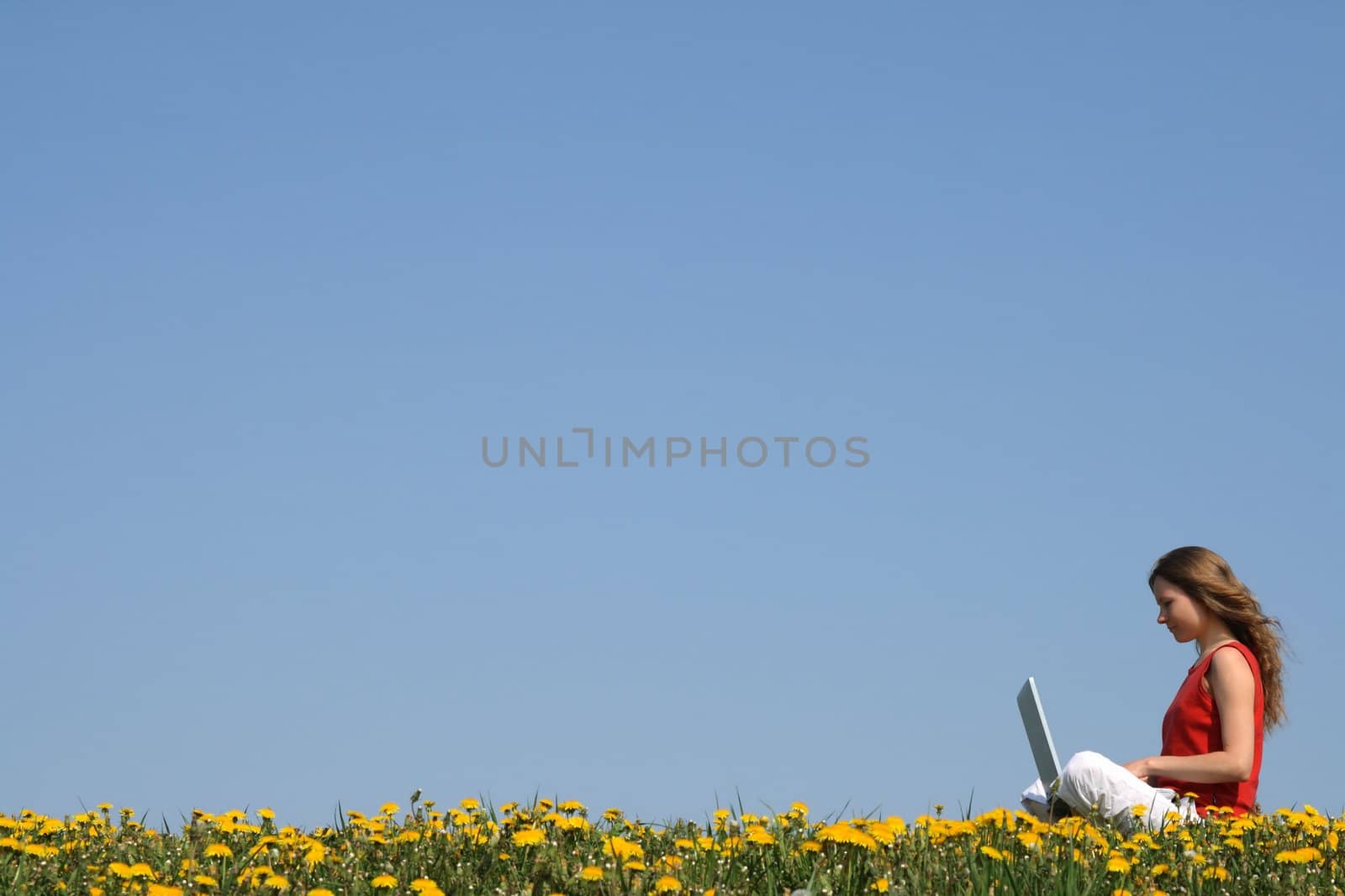 Girl working with laptop in a flowering field by anikasalsera