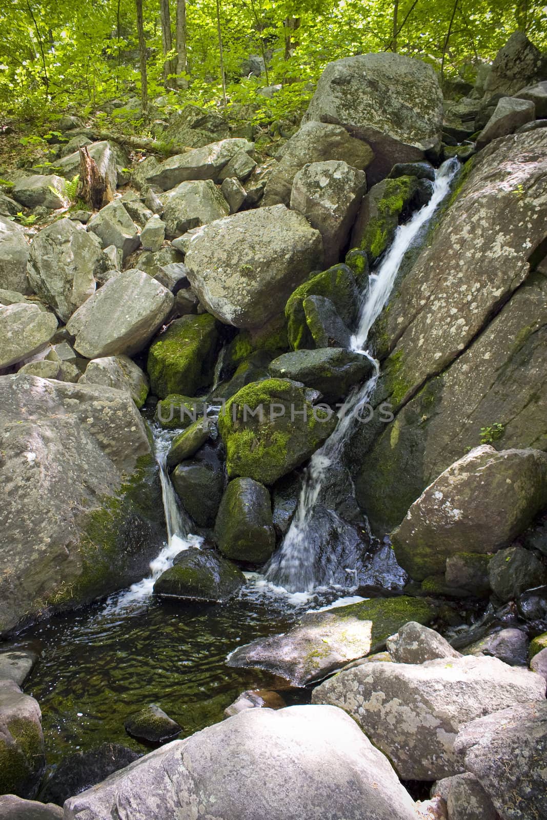 A beautiful waterfall flowing in the woods.