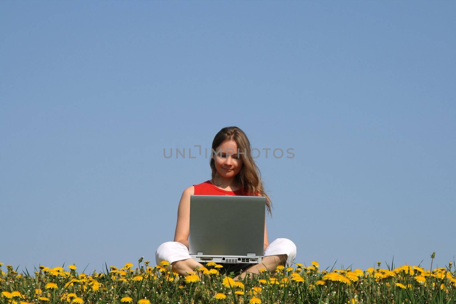 Casual woman working with laptop in a flowering dandelion field.