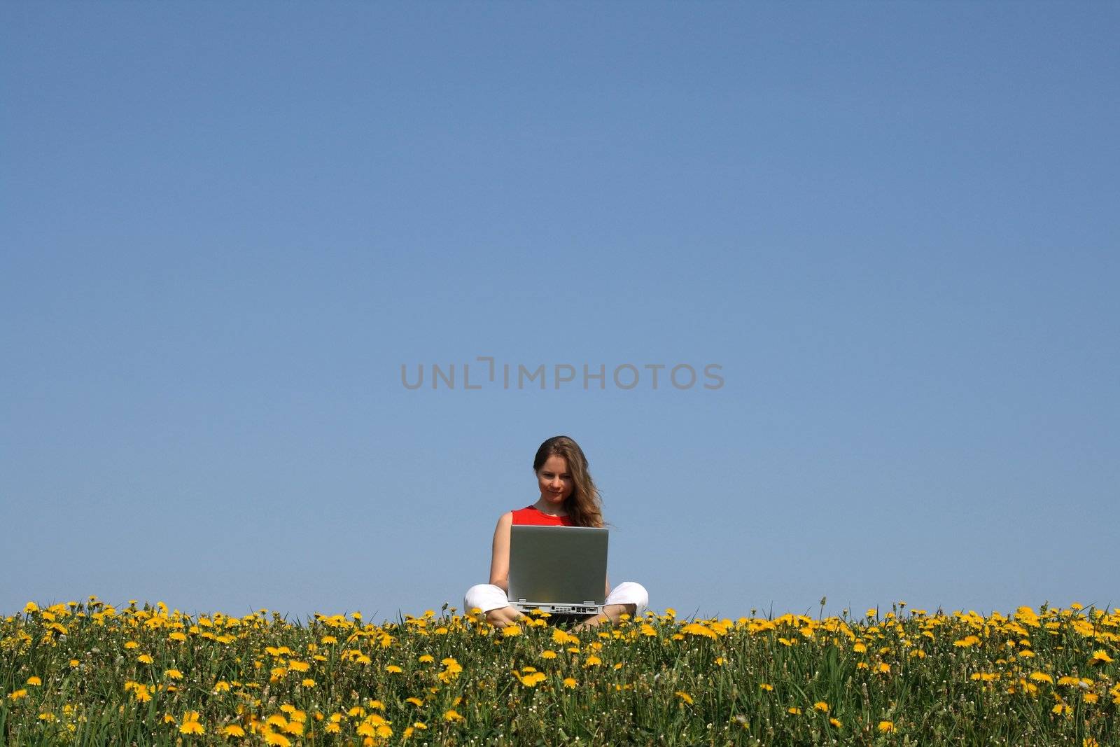 Casual woman working with notebook in a flowering dandelion field.