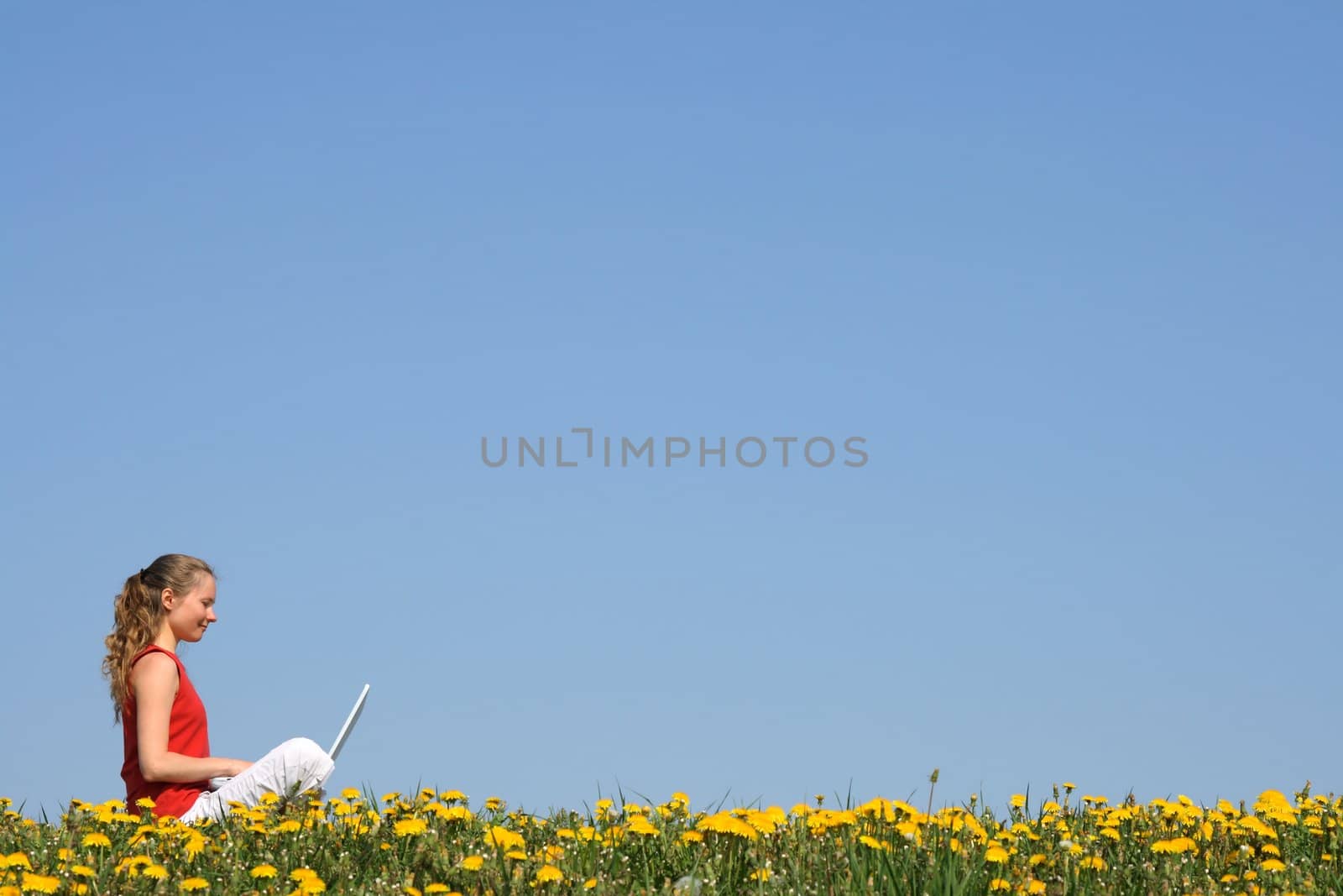 Nice girl working with laptop outdoors, in a flowering field.